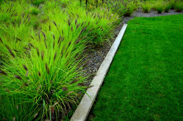 Concrete Edging Installation