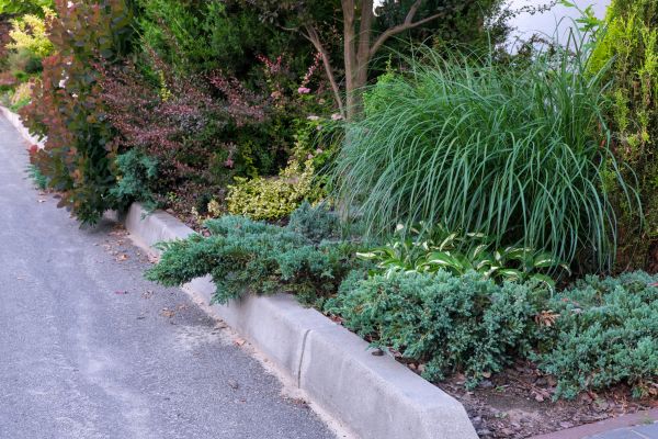 Concrete Curbing Installation