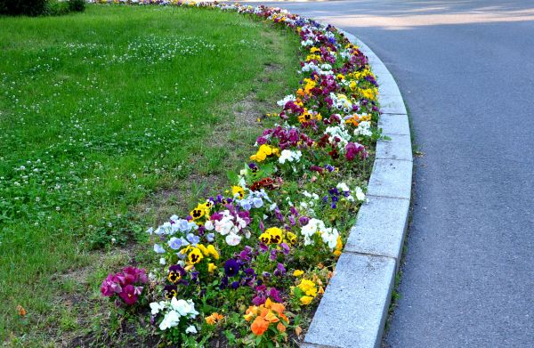 Flower Bed Edging