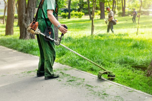 Lawn Edging Installation