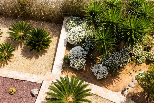 Garden Border Service